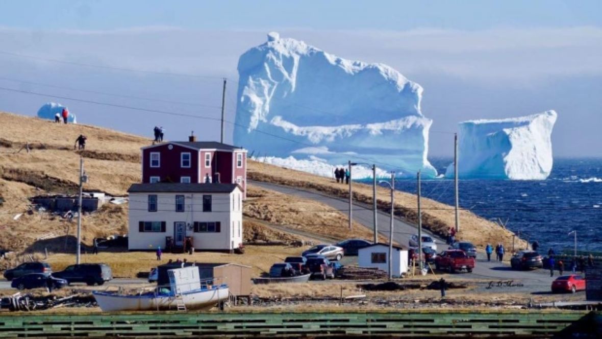 ferryland-iceberg